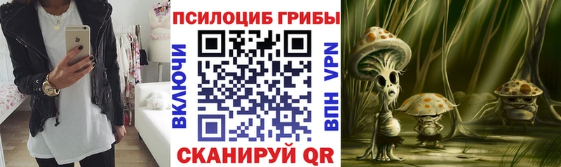 Псилоцибиновые грибы ЛСД  Купить  Мамоново 