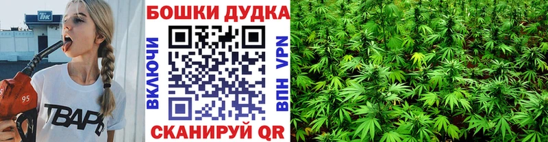 Купить где  Мамоново  Канабис White Widow 